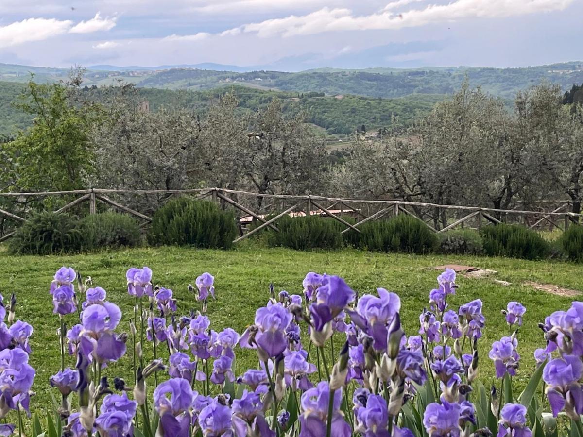 Il Fiorino Di Badia Daire Badia A Passigano Dış mekan fotoğraf