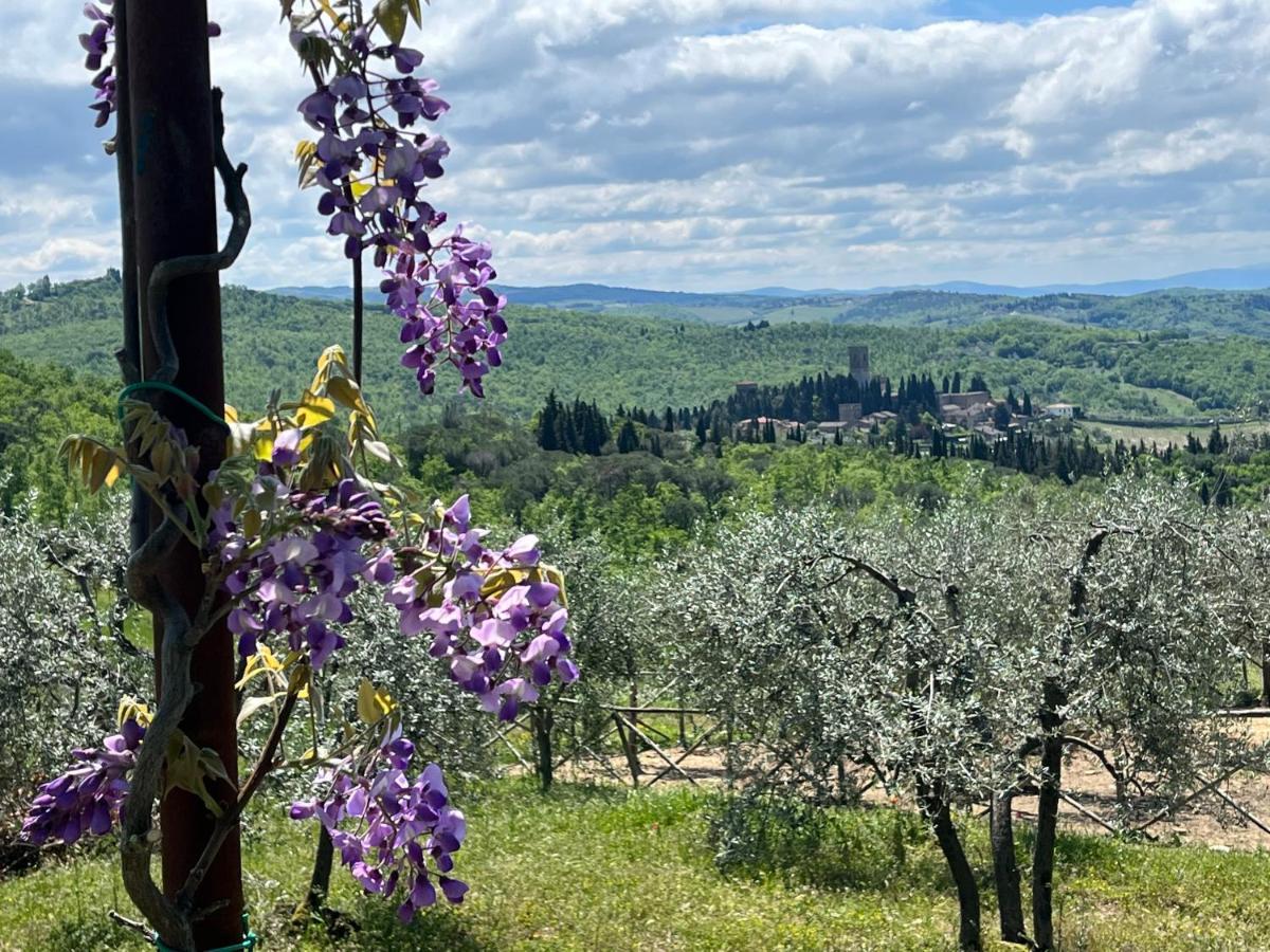 Il Fiorino Di Badia Daire Badia A Passigano Dış mekan fotoğraf