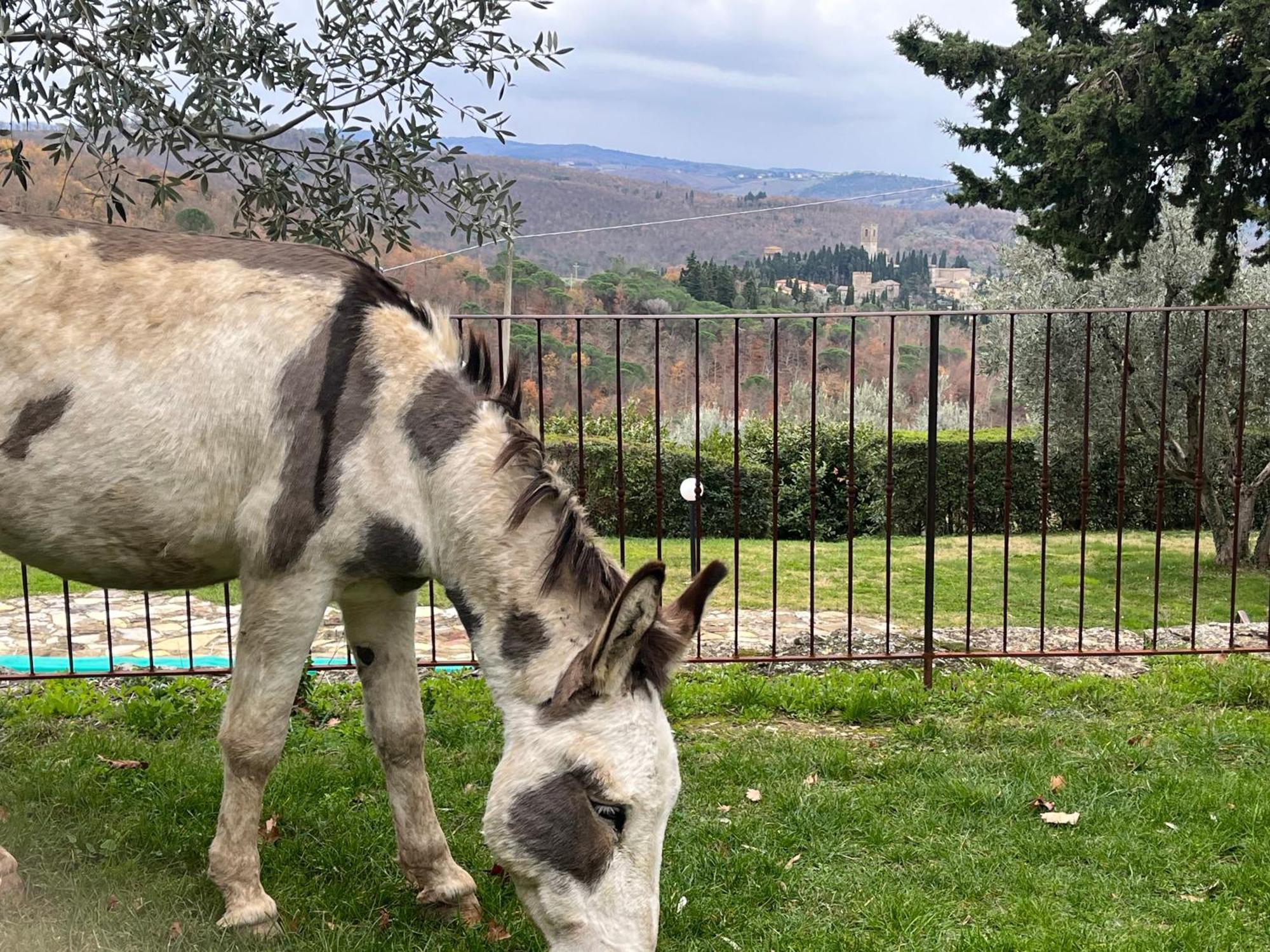 Il Fiorino Di Badia Daire Badia A Passigano Dış mekan fotoğraf