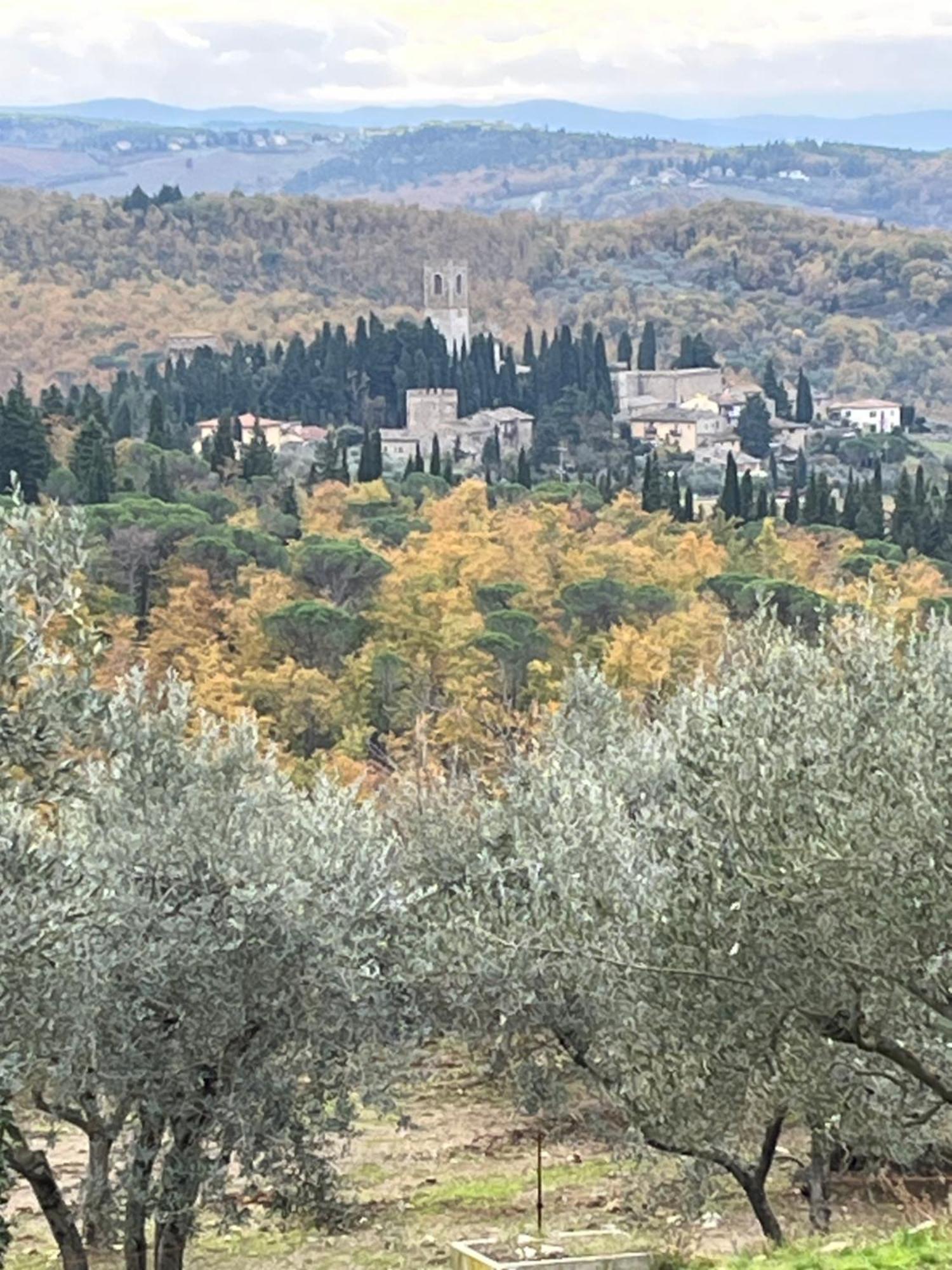 Il Fiorino Di Badia Daire Badia A Passigano Dış mekan fotoğraf